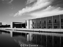 In Lisbon! by Elia Correia 
